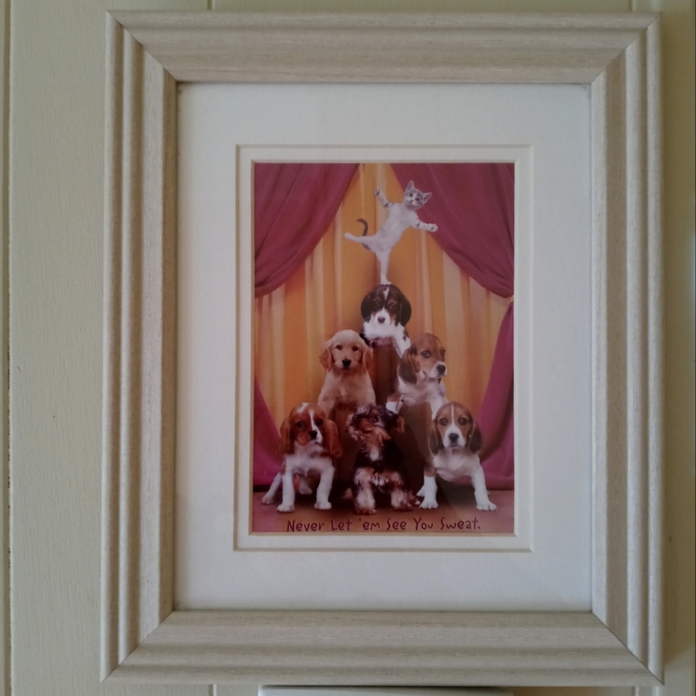 Whitewash Lifestyle Wall Decor